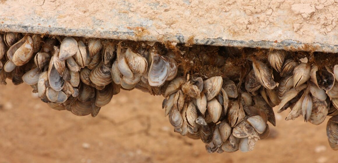 When Aliens Attack: Experts Warn of Urgent Threat to Global SciTechDaily