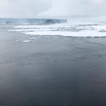 Sensorutrustade tätningar avslöjar nya havsvattenvägar runt Antarktis


