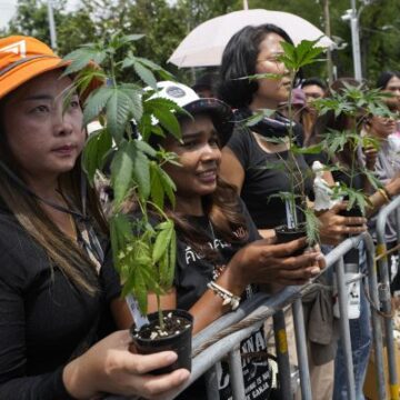 Thai Legalization Advocates Rally as Government Moves Toward Cannabis Ban