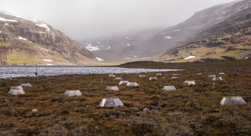 Tundra Turns Traitor: Warming Climate Shifts Carbon Sink to Source SciTechDaily