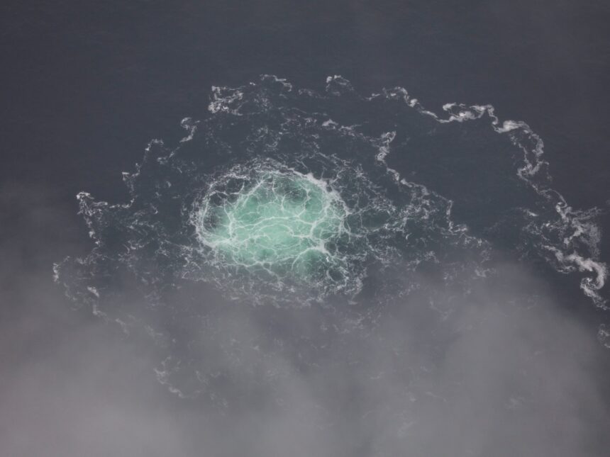 Tyskland begär arrestering av ukrainsk dykare för Nord Stream-sabotage Tyskland begär arrestering av ukrainsk dykare för Nord Stream-sabotage