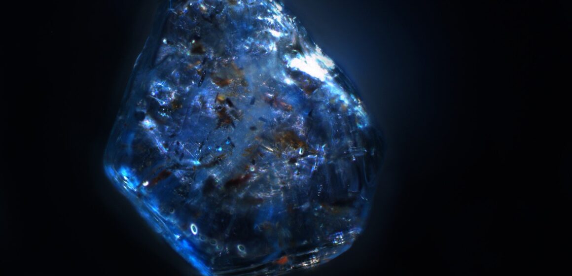 SciTechDaily