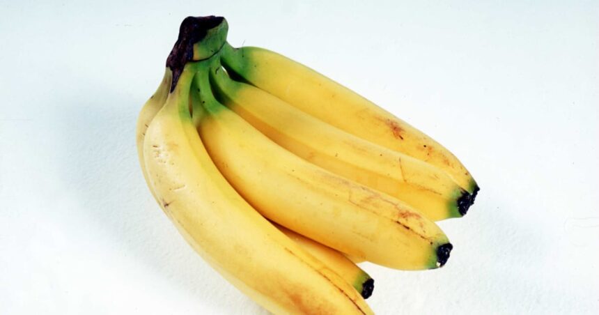 Läckta mejl avslöjar omfattningen av svensk ministers bananfobi
