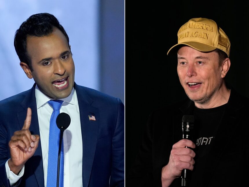 Vad planerar Elon Musk och Vivek Ramaswamy att göra med DOGE?

