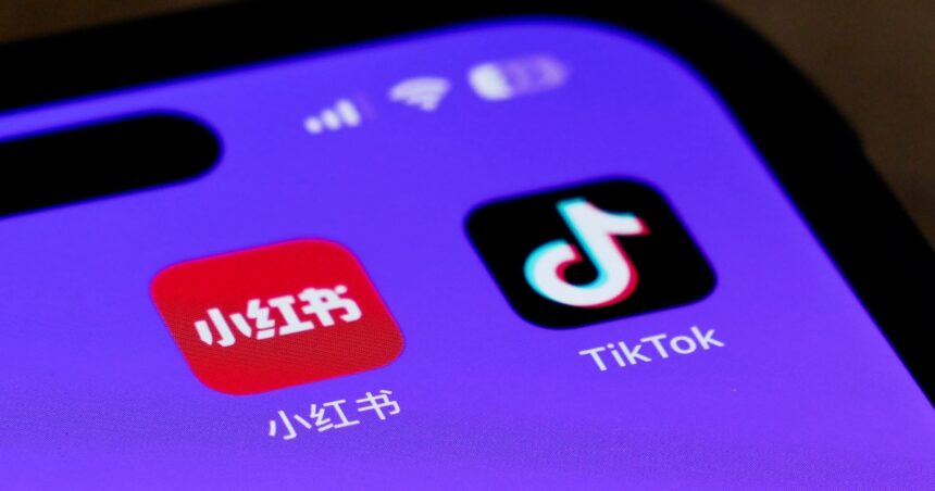 TikTok-användare i USA flockas till "Kinas Instagram" före förbudet

