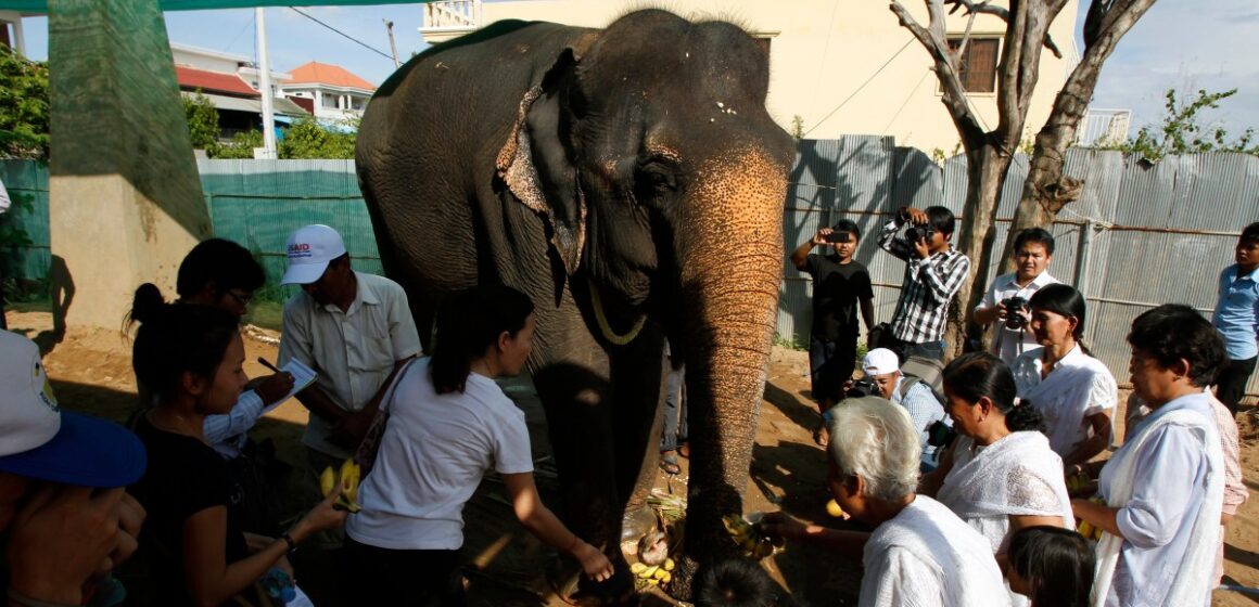 Trumps attack mot USAID lämnar Kina mjuk maktöppning i Sydostasien

