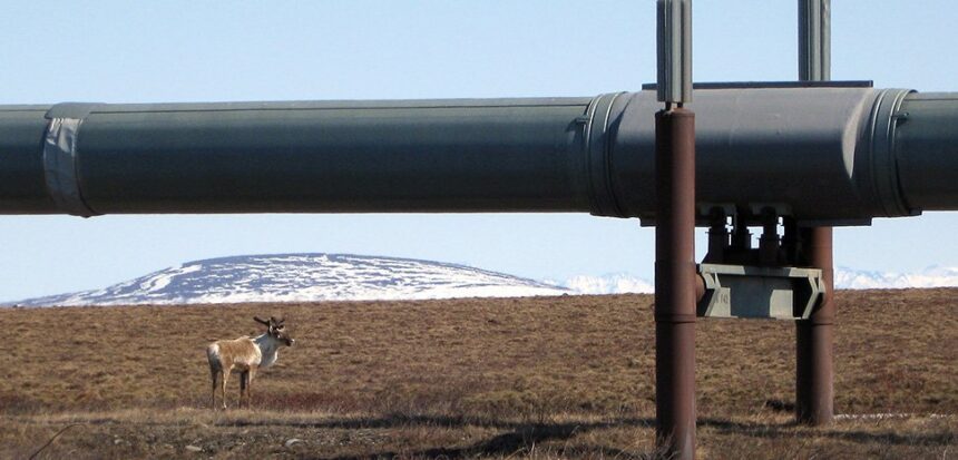 Trump Tariffs Revive vilande Alaska LNG -projekt

