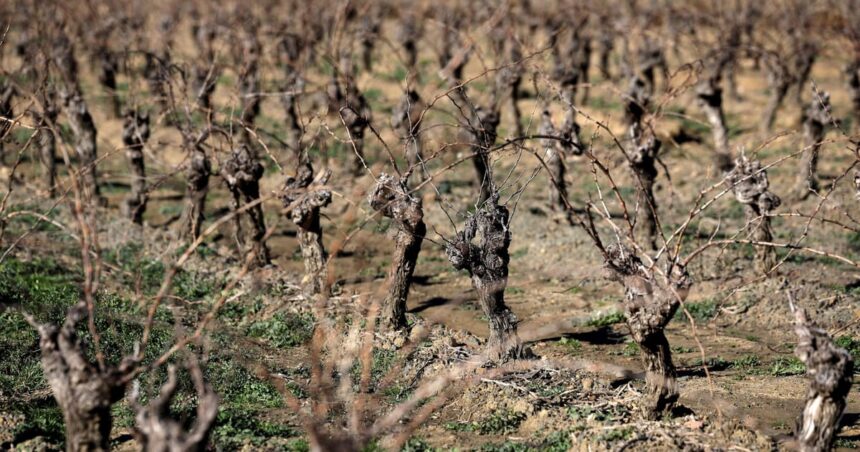 Vårtorkan hotar Europas gårdar och floder
