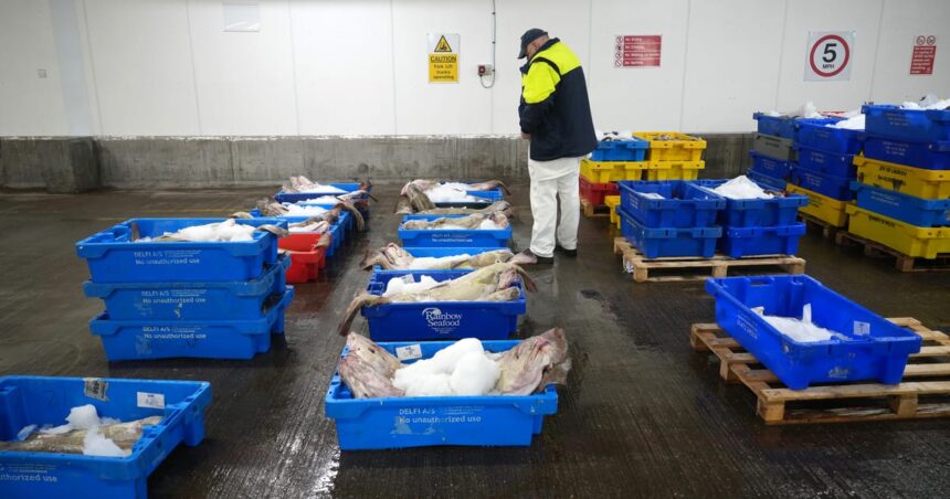 Storbritannien avvisar EU planerar att binda försvarspakten till fiskekvoter
