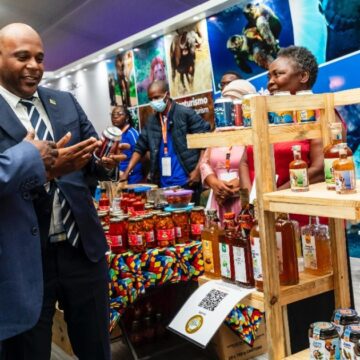 Fördelar "på plattan": stora och små företag ögontillväxt i Moçambique

