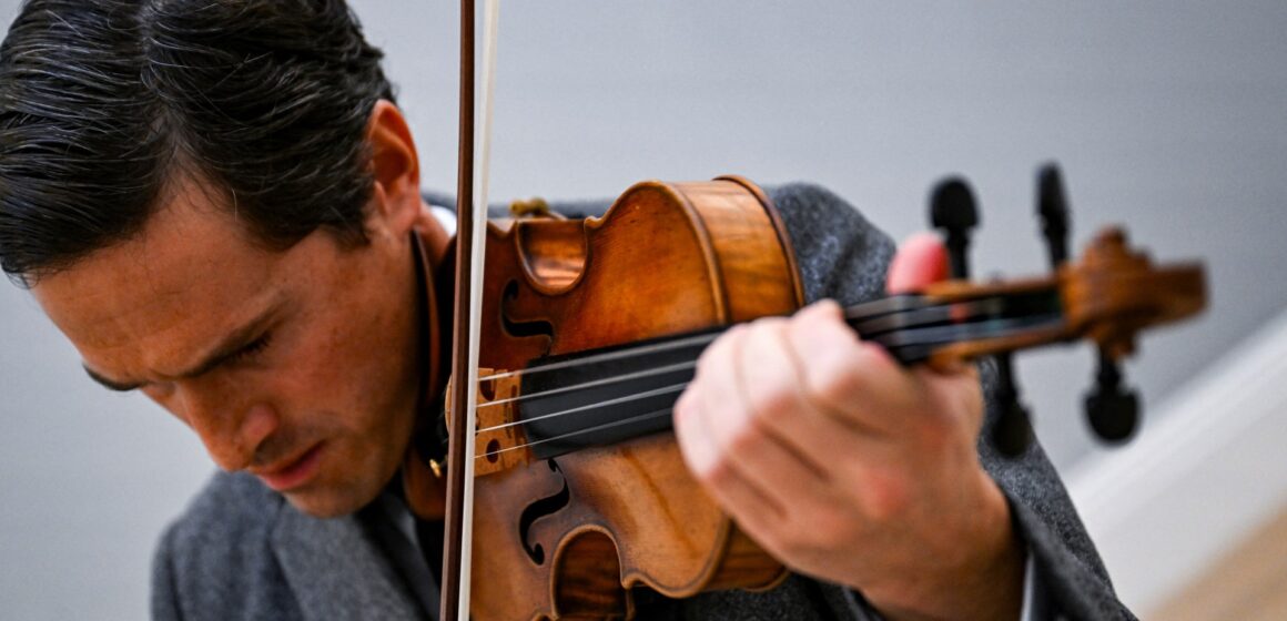 Naturvårdare vill skydda brasilved. Så varför är musiker oroliga? | Miljönyheter
