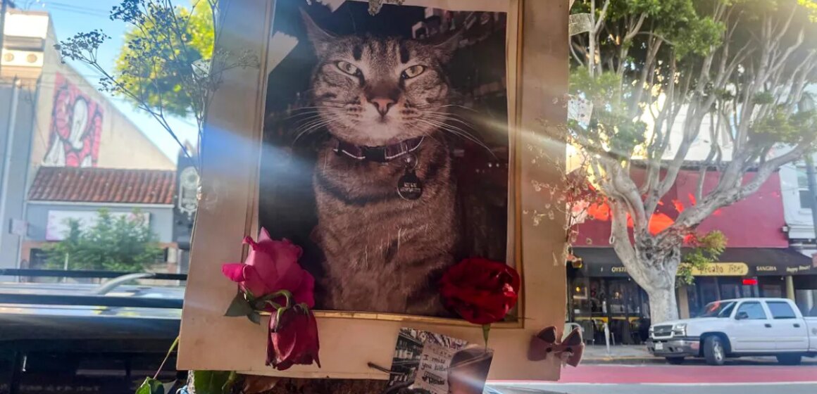 Waymo stöter på säkerhetsproblem och konkurrens när det expanderar i USA

