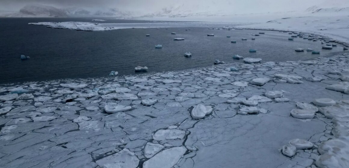 Arktis ser det varmaste året sedan 1900 när klimatkrisen fortsätter

