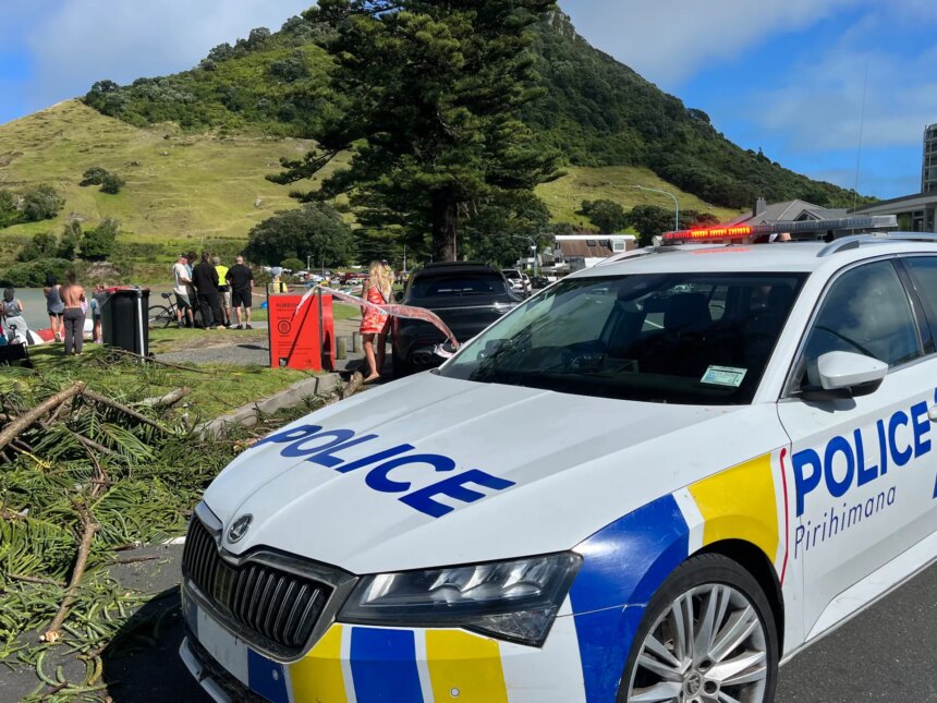 Räddningsmän letar efter överlevande efter jordskred på Nya Zeelands camping

