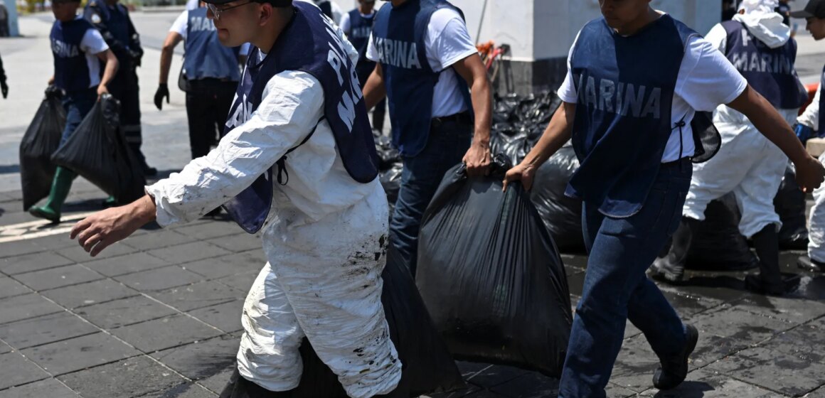 Vilda djur dödade, rev skadade i "aktiva" oljeutsläpp i Mexikanska golfen

