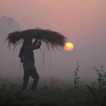 När krisen i Iran drar ut på tiden växer rädslan för global matkatastrof

