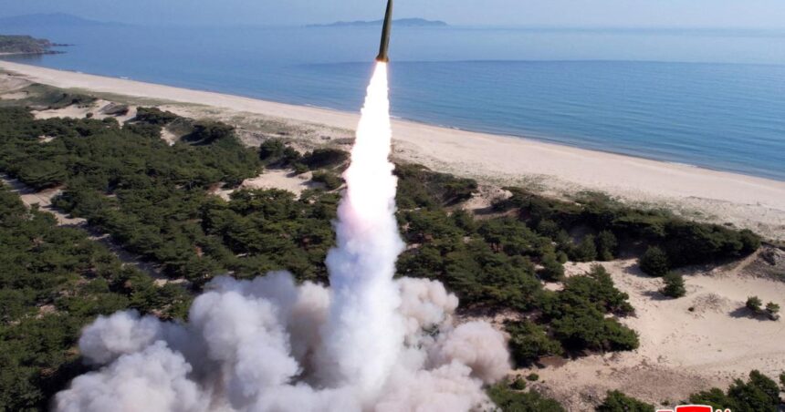 Lära sig att leva med ett kärnvapen Nordkorea
