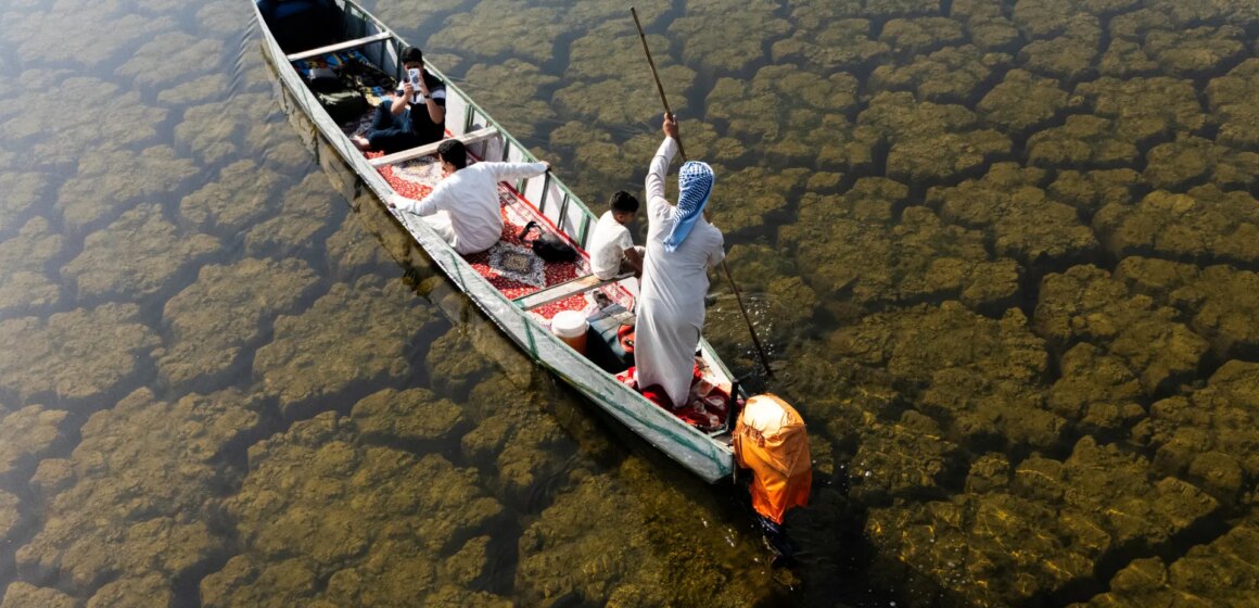 Regn återupplivar Iraks våtmarker efter år av torka | Klimatnyheter
