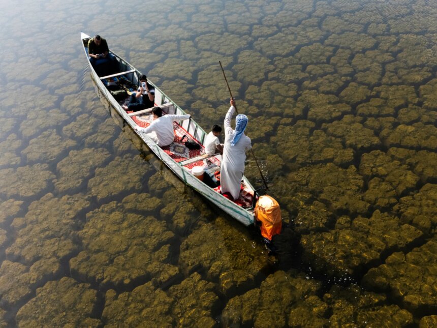 Regn återupplivar Iraks våtmarker efter år av torka | Klimatnyheter
