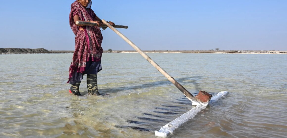 Indiens saltarbetare trotsar brutal hetta på Gujarats ökenslätter | Vädernyheter
