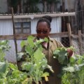 Kenyanska akademiker använder AI-verktyg för jordbruk när jobben torkar ut


