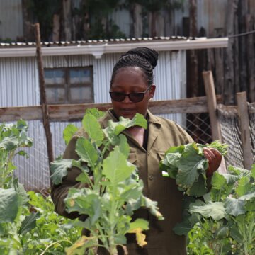 Kenyanska akademiker använder AI-verktyg för jordbruk när jobben torkar ut

