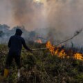 Australien varnar för El Ninos vädermönster som kommer att vara det starkaste på decennier

