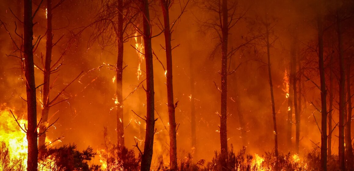 Foton: Frankrike, Spanien slåss mot "monster" skogsbränder när mer värme hägrar | Klimatnyheter
