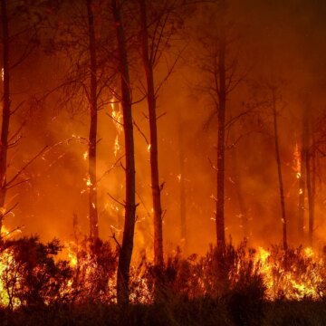 Foton: Frankrike, Spanien slåss mot "monster" skogsbränder när mer värme hägrar | Klimatnyheter

