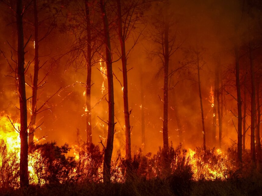 Foton: Frankrike, Spanien slåss mot "monster" skogsbränder när mer värme hägrar | Klimatnyheter
