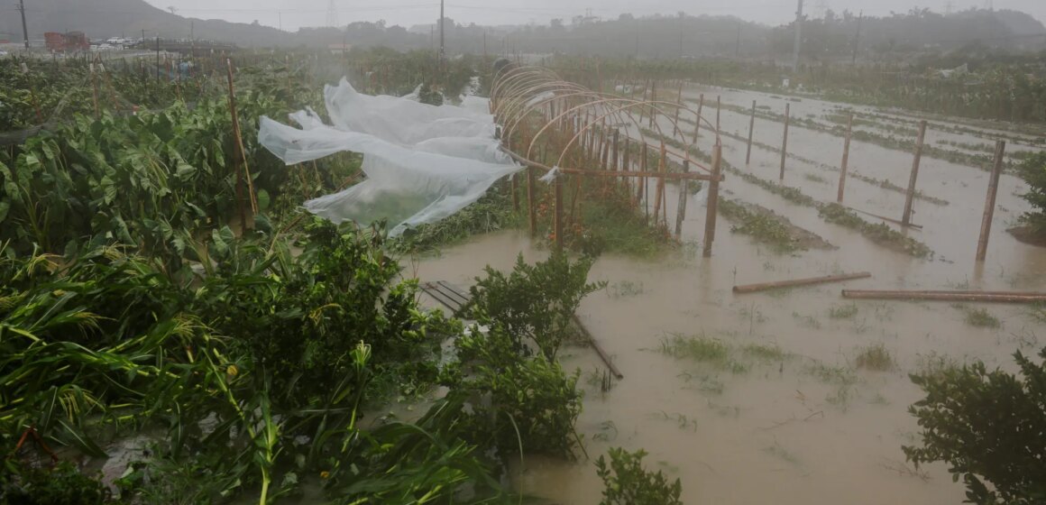Tyfonen Bavi försvagas till en tropisk storm när den slår Tyfonen Bavi försvagas till en tropisk storm när den slår mot östra Kina