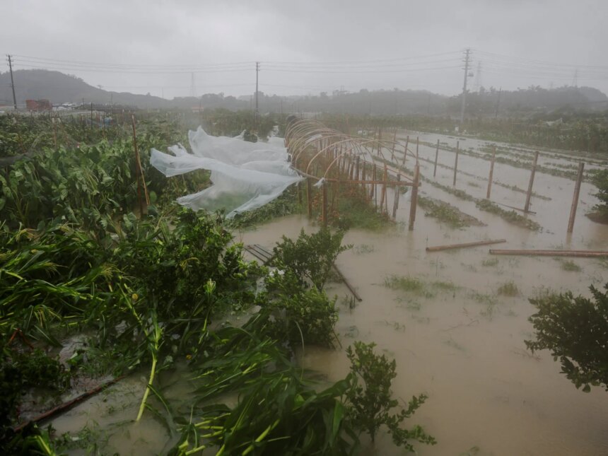 Tyfonen Bavi försvagas till en tropisk storm när den slår mot östra Kina

