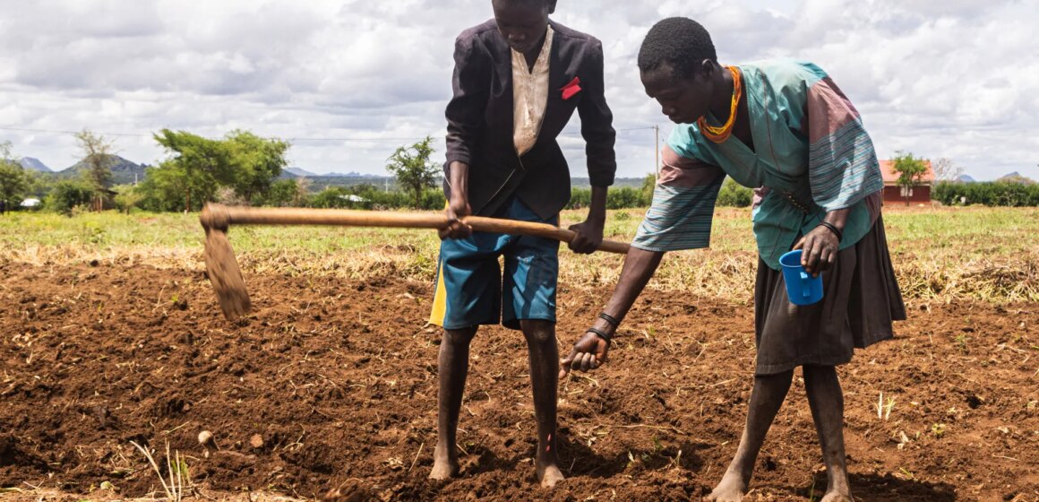 Varför upplever Uganda en livsmedelskris?

