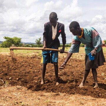 Varför upplever Uganda en livsmedelskris?

