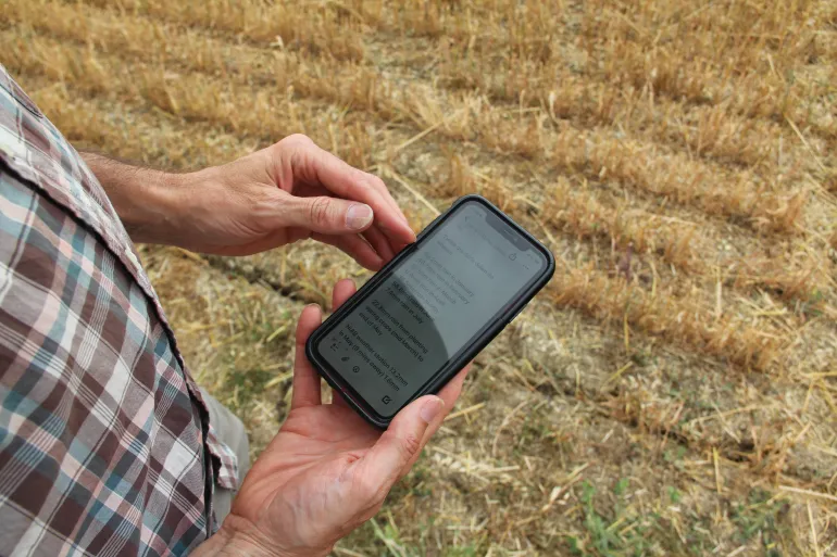 Tom Pearson visar månatliga nederbördssiffror på sin telefon i fält - data som han spårar noggrant eftersom veteskördarna sjönk med cirka 40 % den här säsongen. Kredit: John Kjorstad