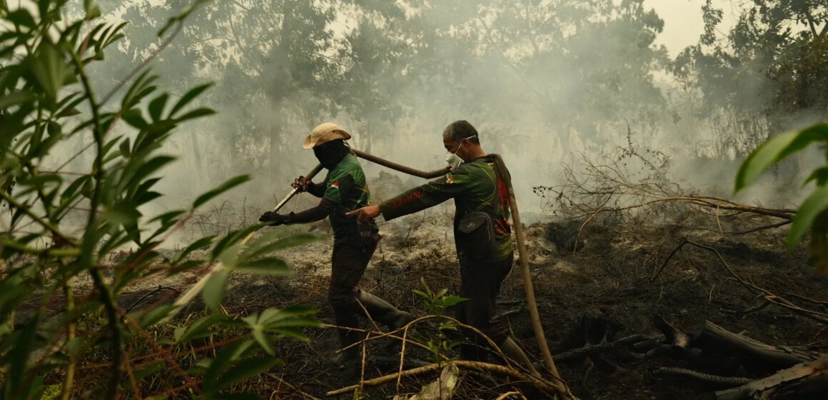 "Allt är täckt av aska": Indonesiens skogsbränder gör människor i "Allt är täckt av aska": Indonesiens skogsbränder gör människor i kris