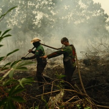 "Allt är täckt av aska": Indonesiens skogsbränder gör människor i kris

