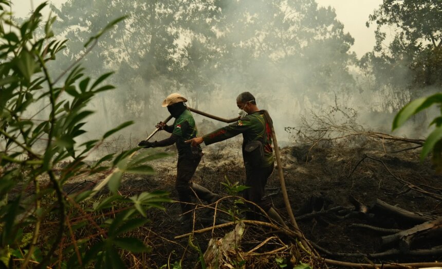 "Allt är täckt av aska": Indonesiens skogsbränder gör människor i kris

