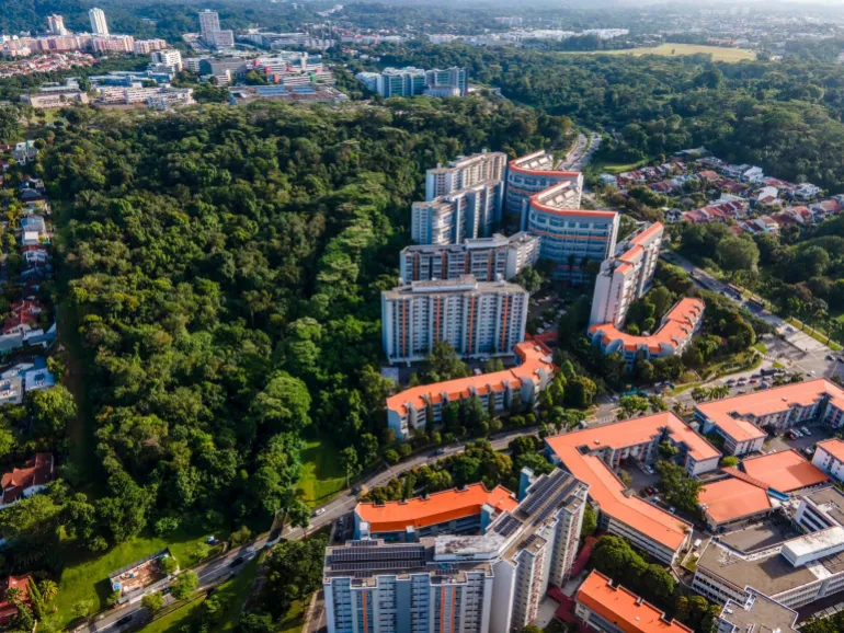 En flygvy över Singapores Maju-skog, vilket betyder 