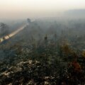 Belgiens största skogsbrand någonsin sprider sig mot den tyska gränsen

