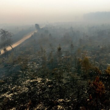 Belgiens största skogsbrand någonsin sprider sig mot den tyska gränsen

