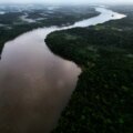 Brasiliens högsta domstol ska väga fall som kan försvaga Amazons skydd

