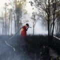 El Nino kommer att vara mest intensiv "i över ett sekel": brittiska prognosmakare

