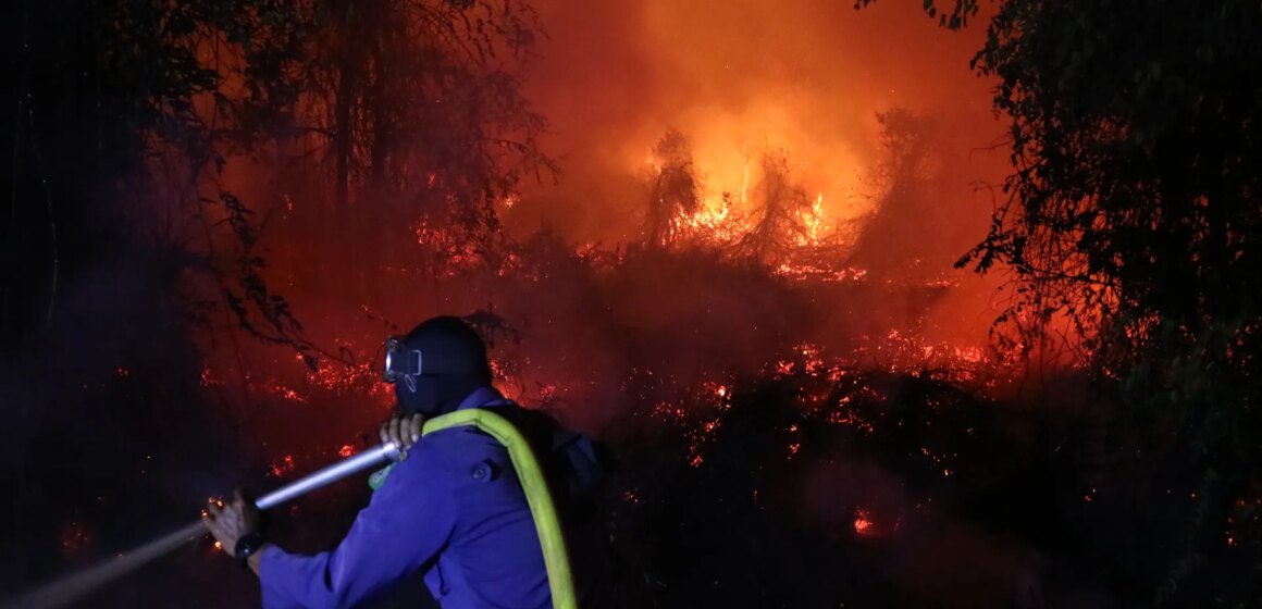 Indonesien slåss i dis när skogsbränder rasar över södra Sumatras skogar | Vädernyheter

