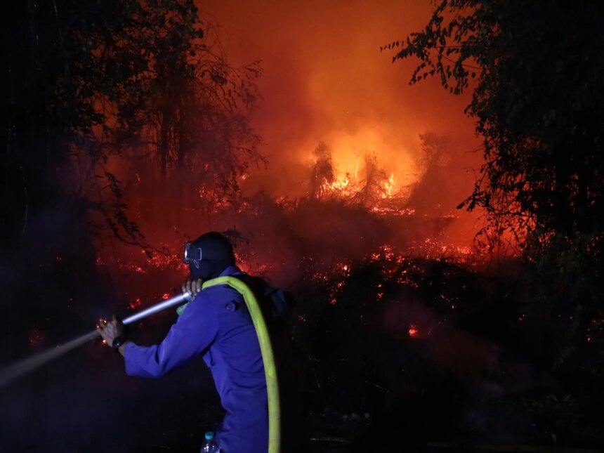Indonesien slåss i dis när skogsbränder rasar över södra Sumatras skogar | Vädernyheter

