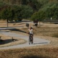 Mer än 135 miljoner människor i Europa möter temperaturer över 35C

