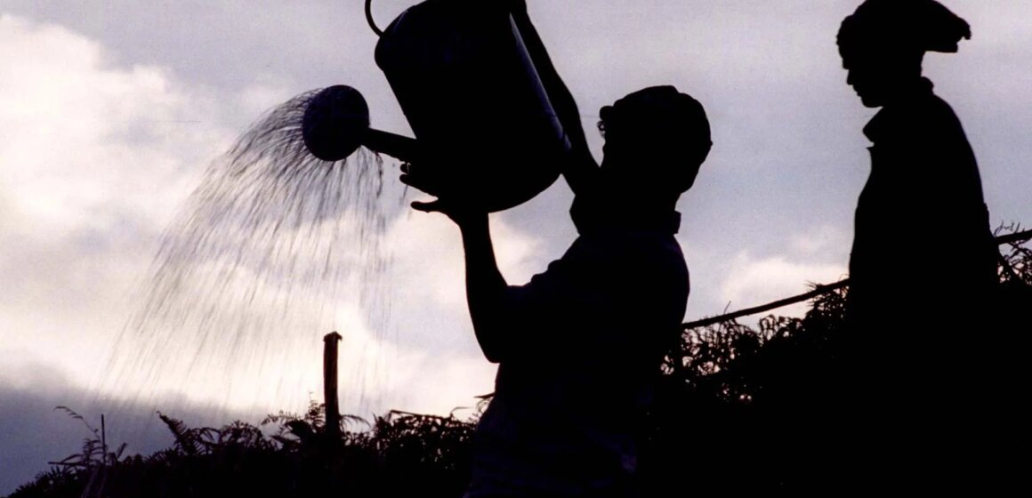 Regeringar rustar för historiska El Nino-effekter på globala väderextremer

