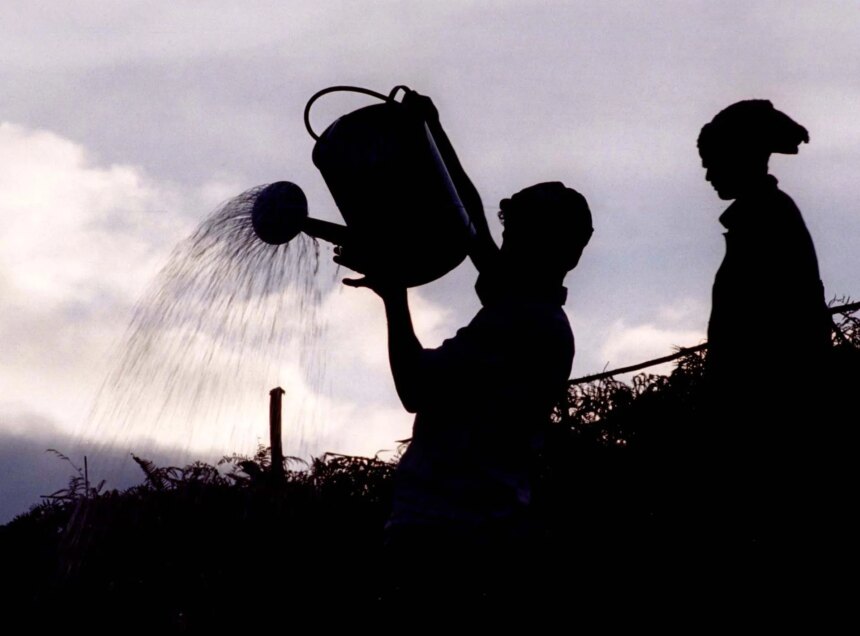 Regeringar rustar för historiska El Nino-effekter på globala väderextremer

