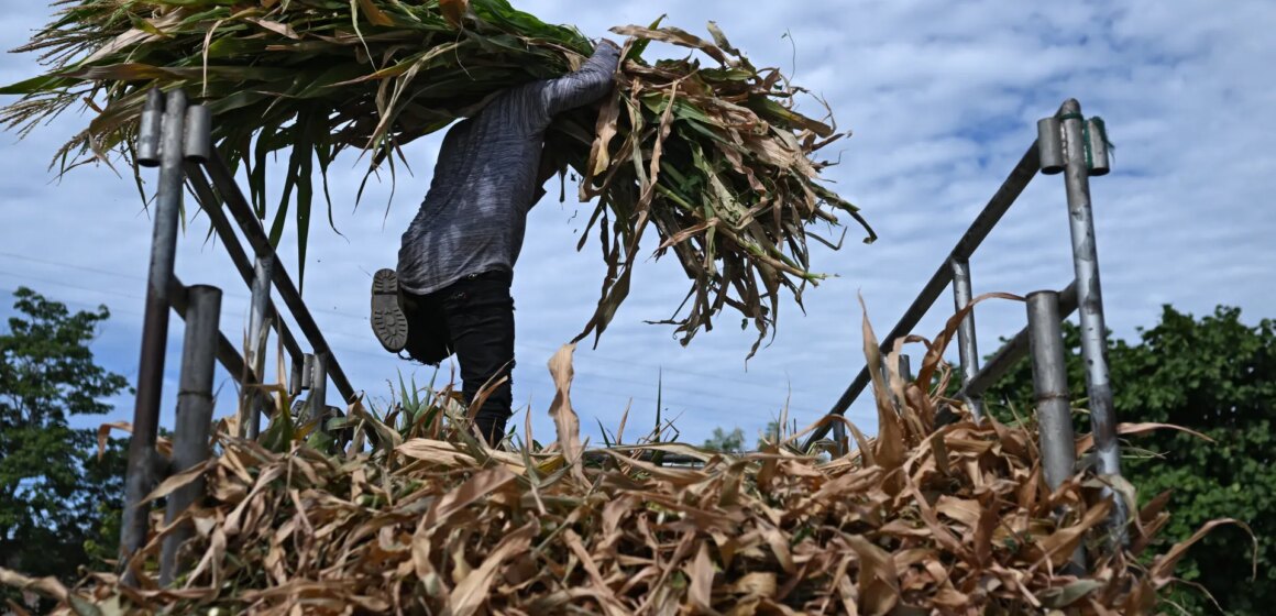 El Nino: Ett fenomen överladdat av klimatförändringar


