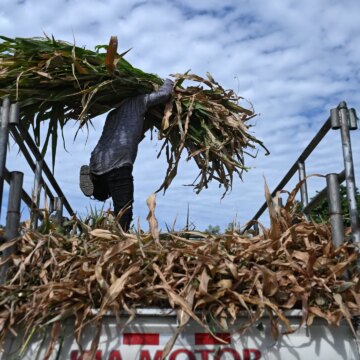 El Nino: Ett fenomen överladdat av klimatförändringar

